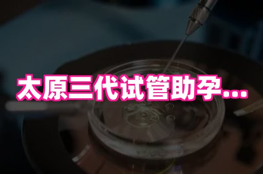 东莞助孕网站 3