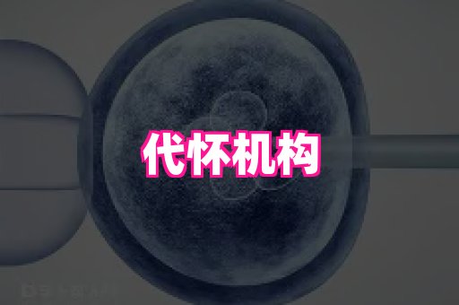 东莞助孕网站 4